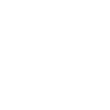 money icon